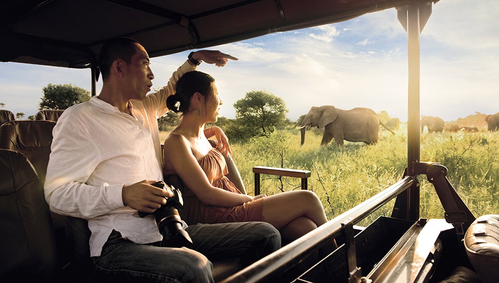 South Africa Game Drive