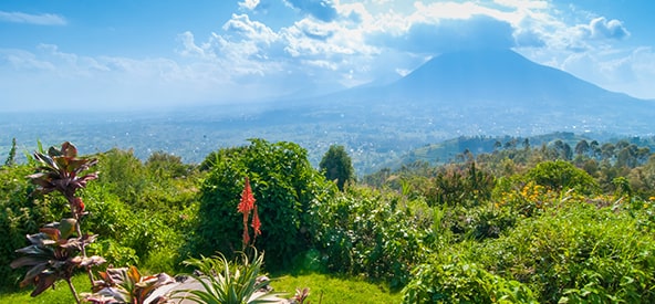 Rwanda Picture