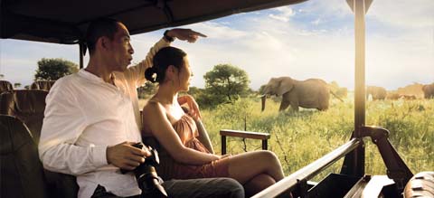 South Africa, Victoria Falls, Chobe and Mauritius Tour