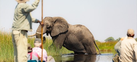 Victoria Falls, Chobe and Okavango Tour