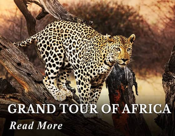 Grand Tour of Africa