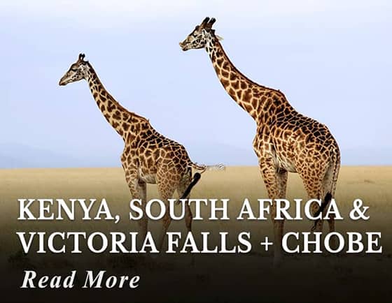 Kenya - South Africa - Victoria Falls - Chobe Tour